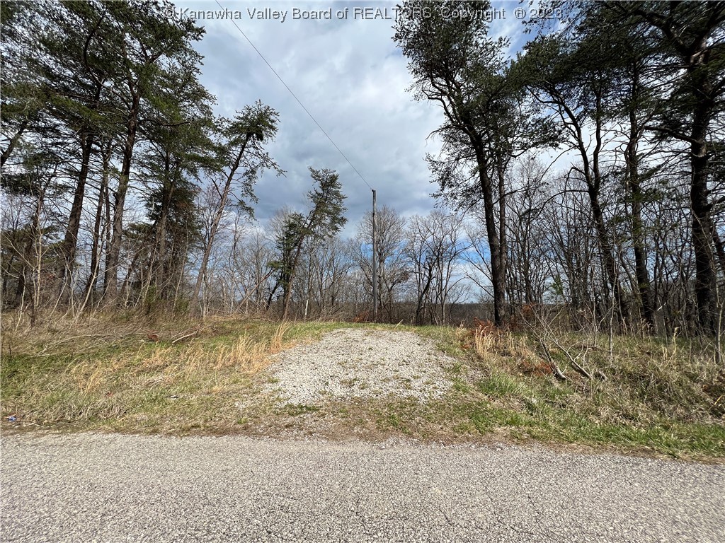 24-acres Redmond Ridge Road Gallipolis Ferry, WV 25515 - Photo 4 of 14 Gallery Image 4
