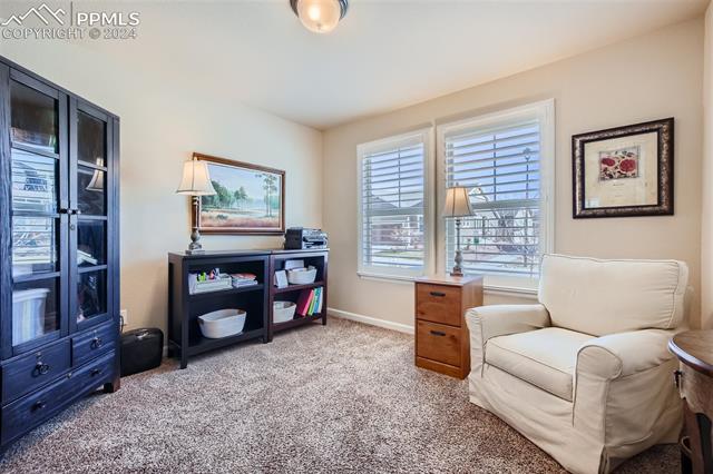 11399 Rill Point Colorado Springs, CO 80921 - Photo 7 of 28 Office featuring light colored carpet