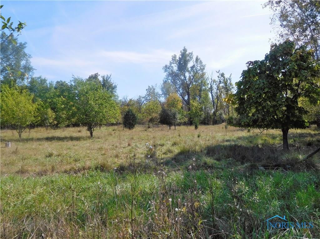 4673 Libbey Road Perrysburg, OH 43551 - Photo 15 of 22 Gallery Image 15