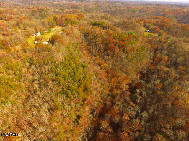 2662 Brimstone Creek Road Moss, TN 38575 - Photo 10 of 45 USE 8