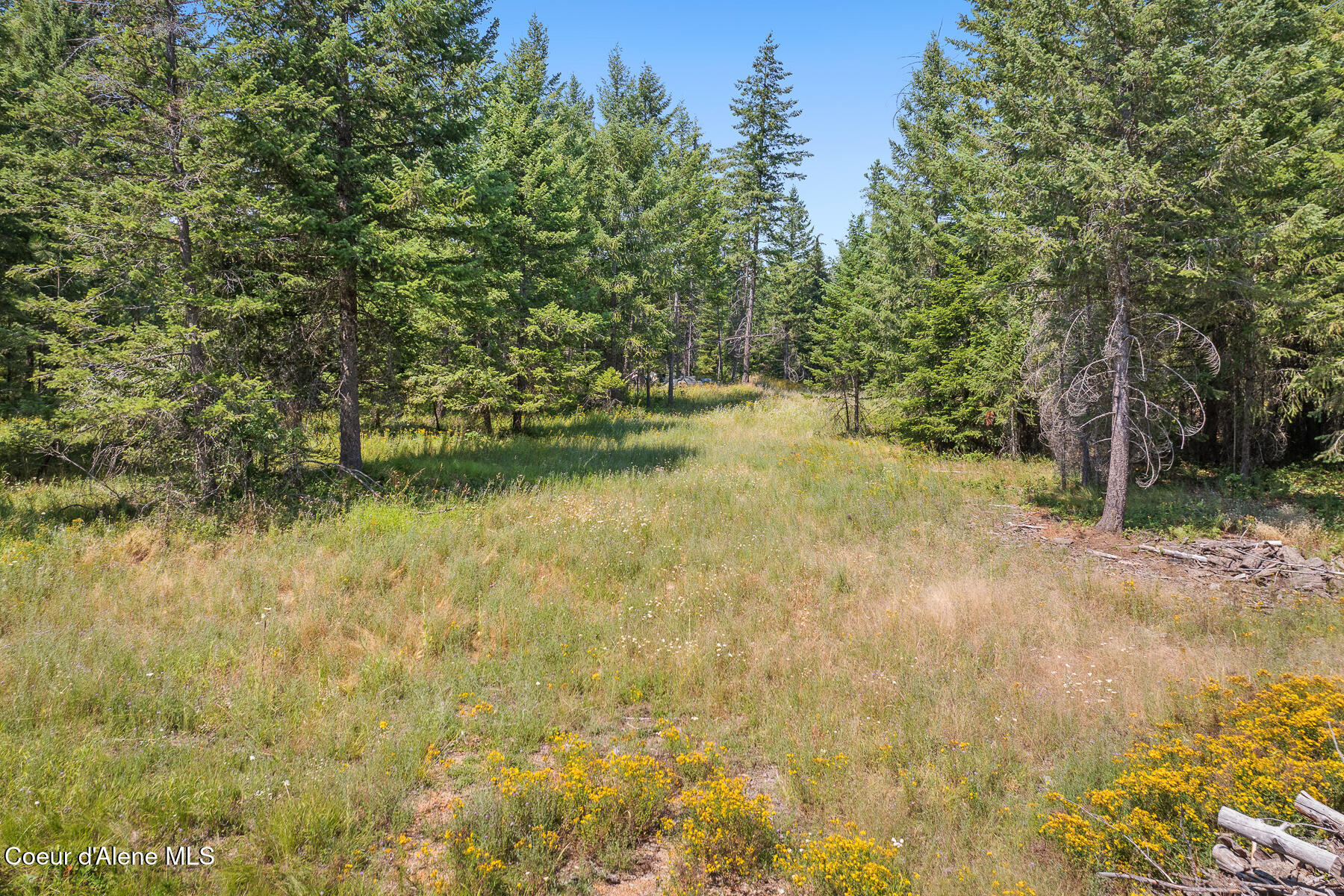 East Quarter Mile Road Athol, ID 83801 - Photo 3 of 18 Aerial_EQuarterMileRdLot-2