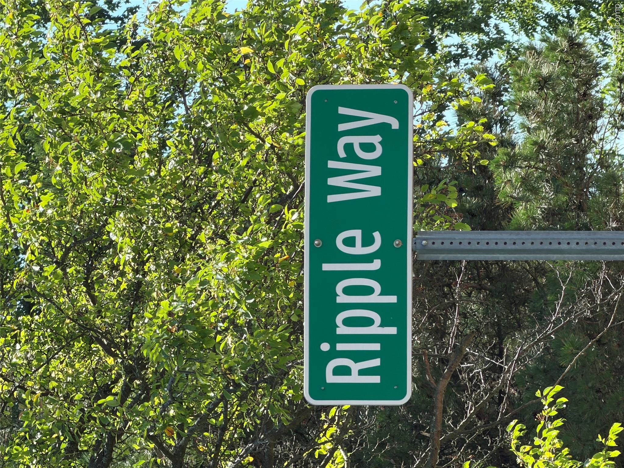 0 Ripple Way White Lake, MI 48383 - Photo 41 of 48 IMG_7751.jpeg