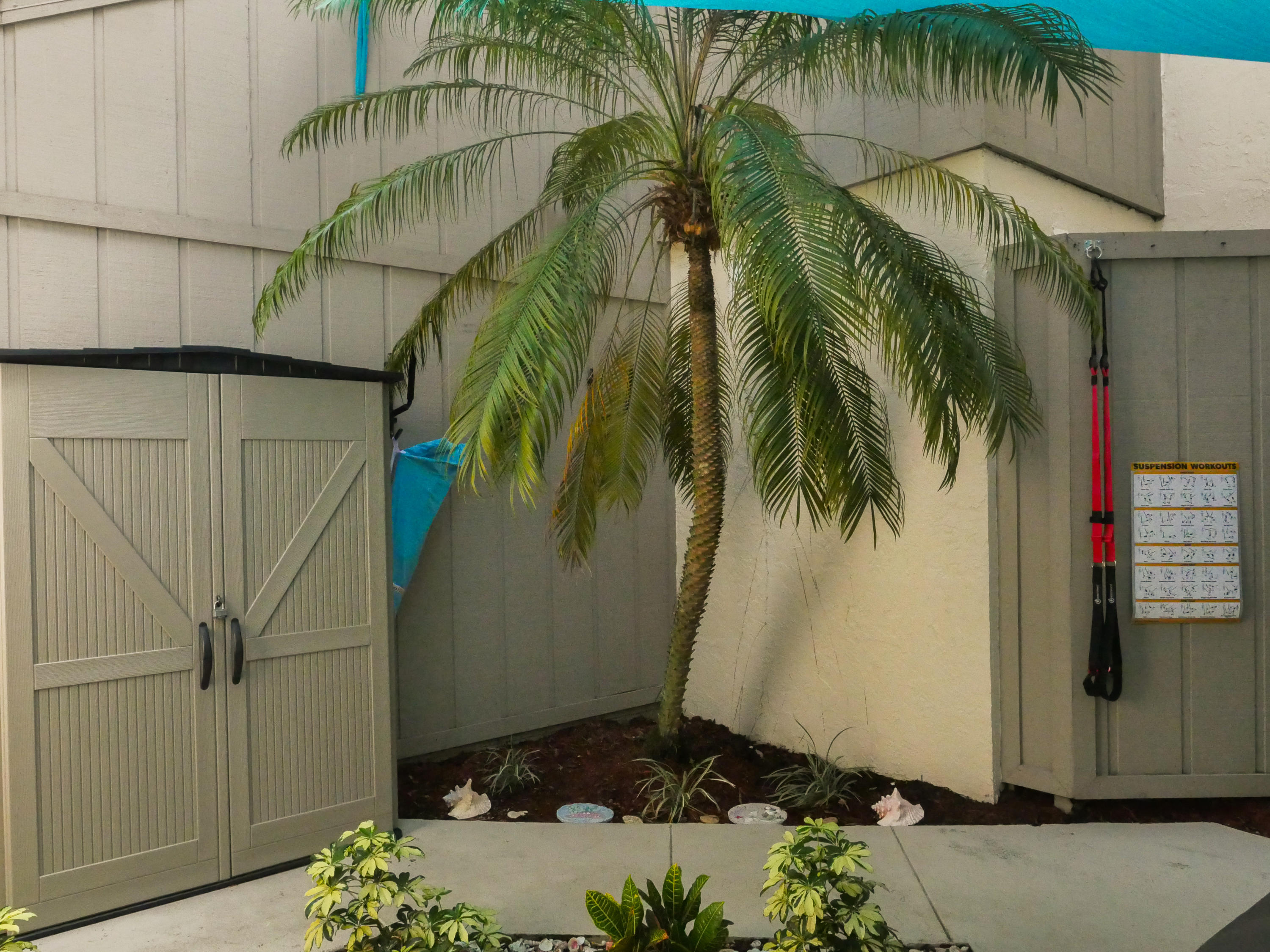 1605 Highway 1, Unit 2D Jupiter, FL 33477 - Photo 7 of 7 JORC-206