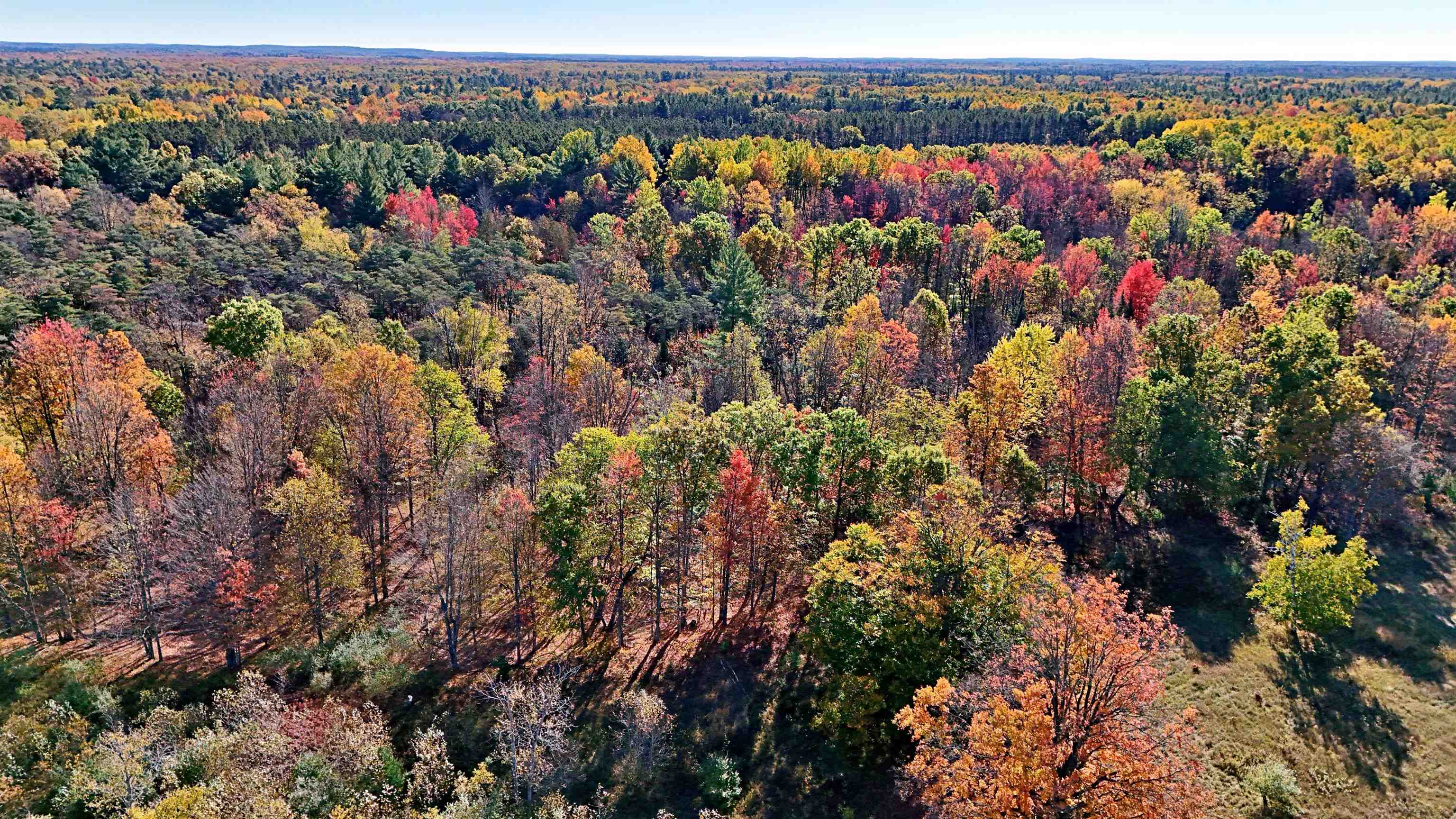 0 Twin Lake Road Marion, MI 49665 - Photo 32 of 33
