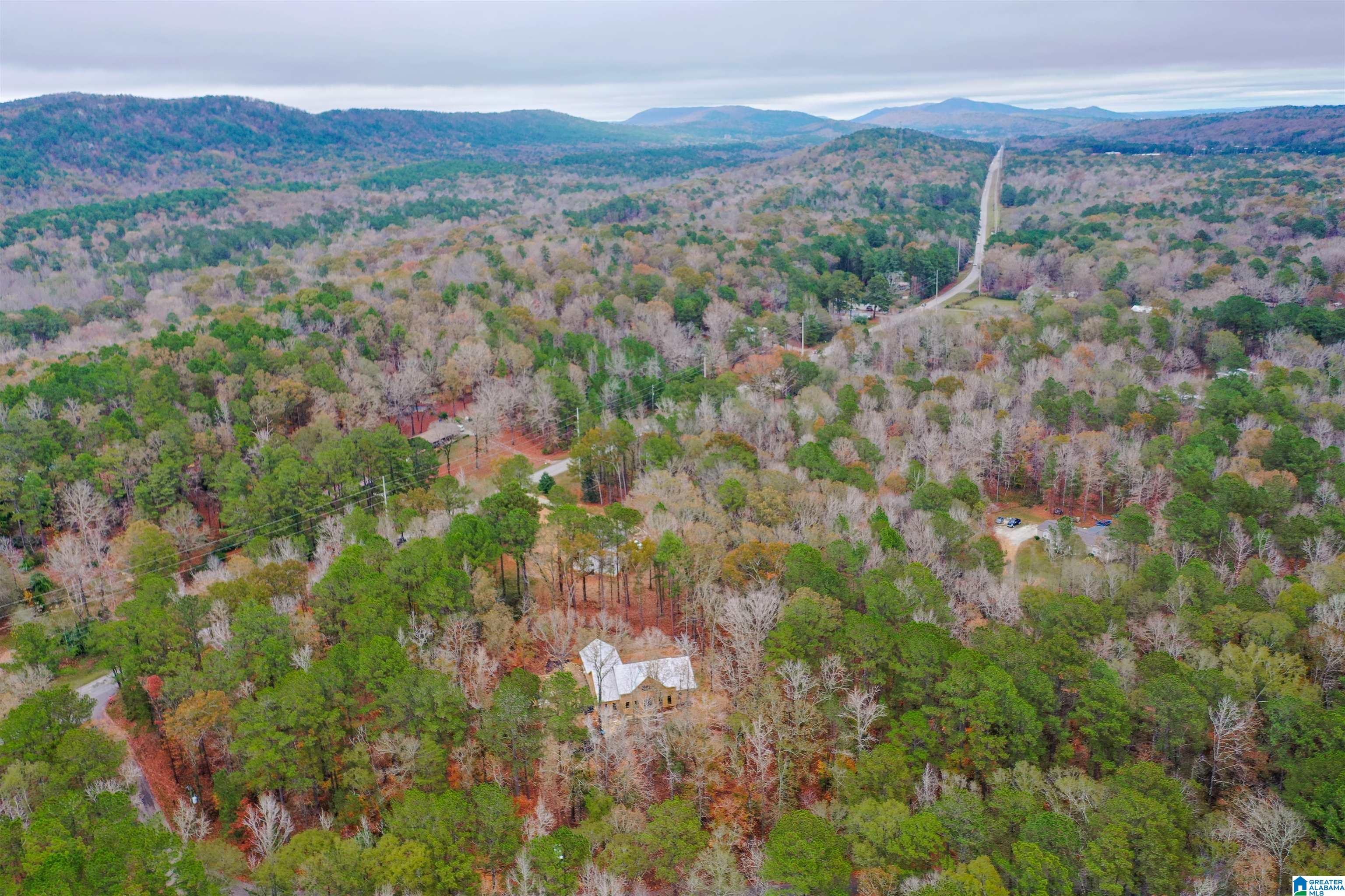 85 Hodgens Road Chelsea, AL 35043 - Photo 12 of 13 Gallery Image 12