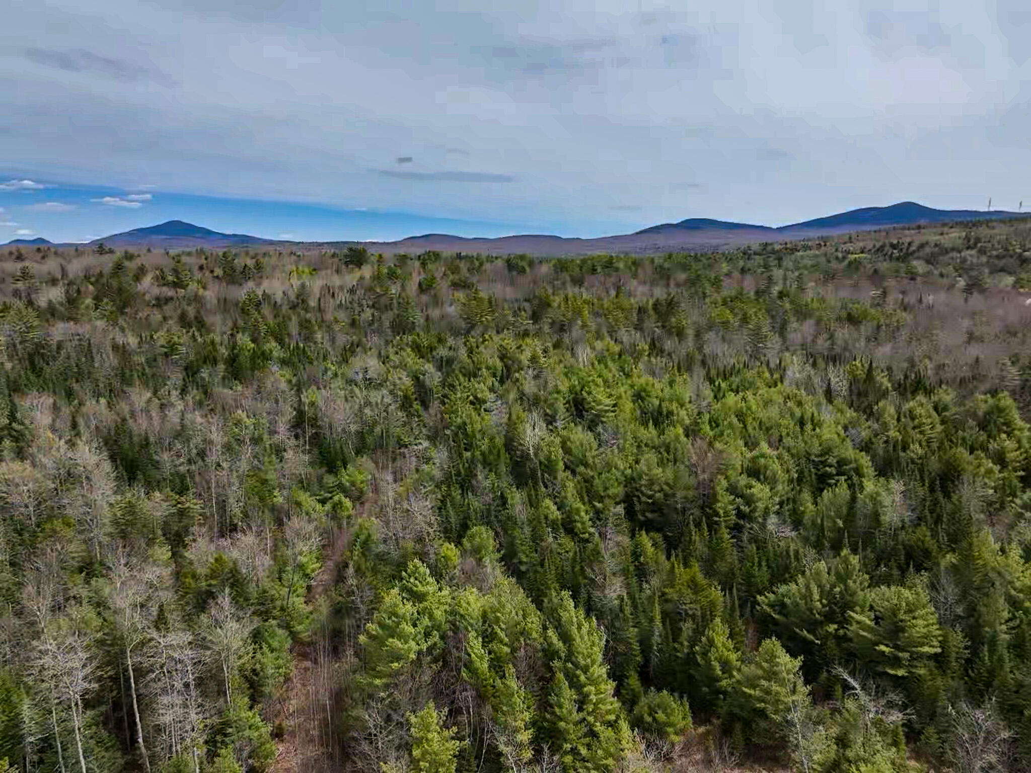 Lot 3 Carthage Road, Unit LOT 3 Carthage, ME 04224 - Photo 5 of 14