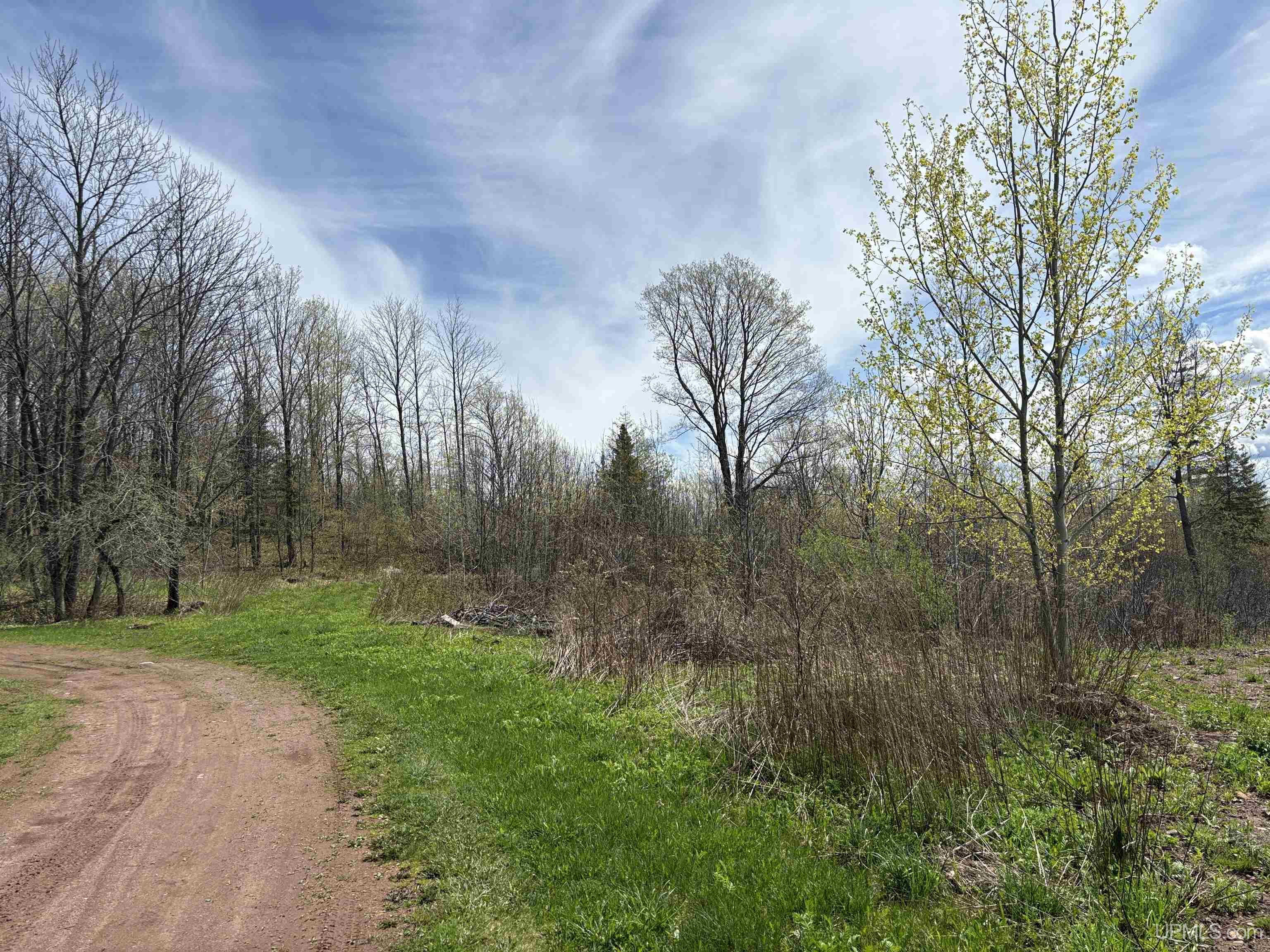Lot 1 Palms Road Bessemer, MI 49911 - Photo 5 of 11 Gallery Image 5