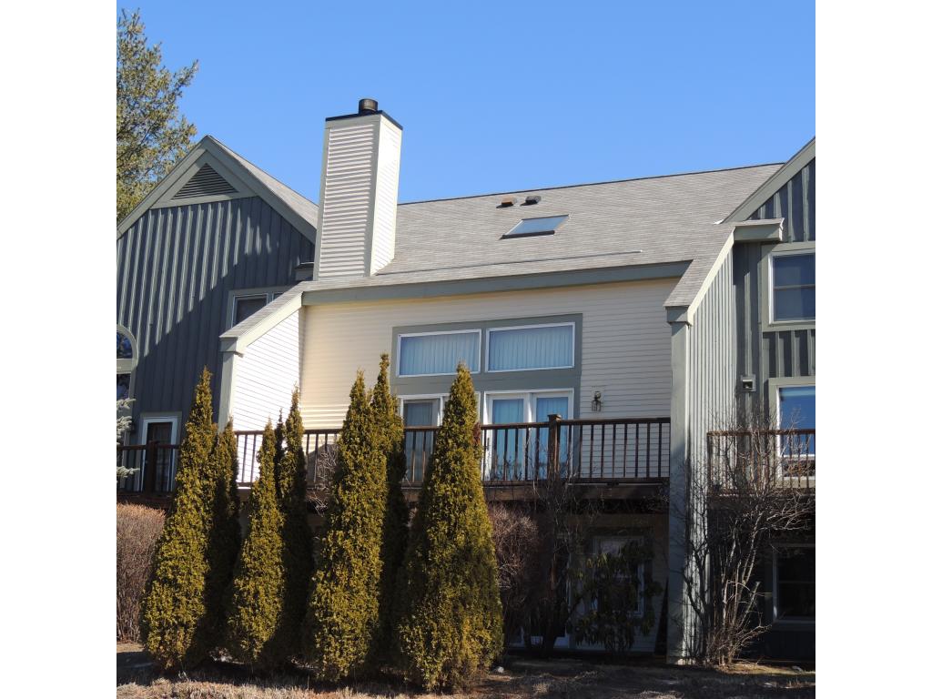 47 B Greenspring Road, Unit 47B West Dover, VT 05356 - Photo 2 of 28 Gallery Image 2