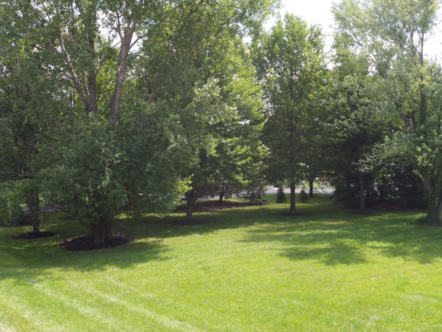 Lot 31 Rochefort Lane Wayne, IL 60184 - Photo 8 of 10 Gallery Image 8