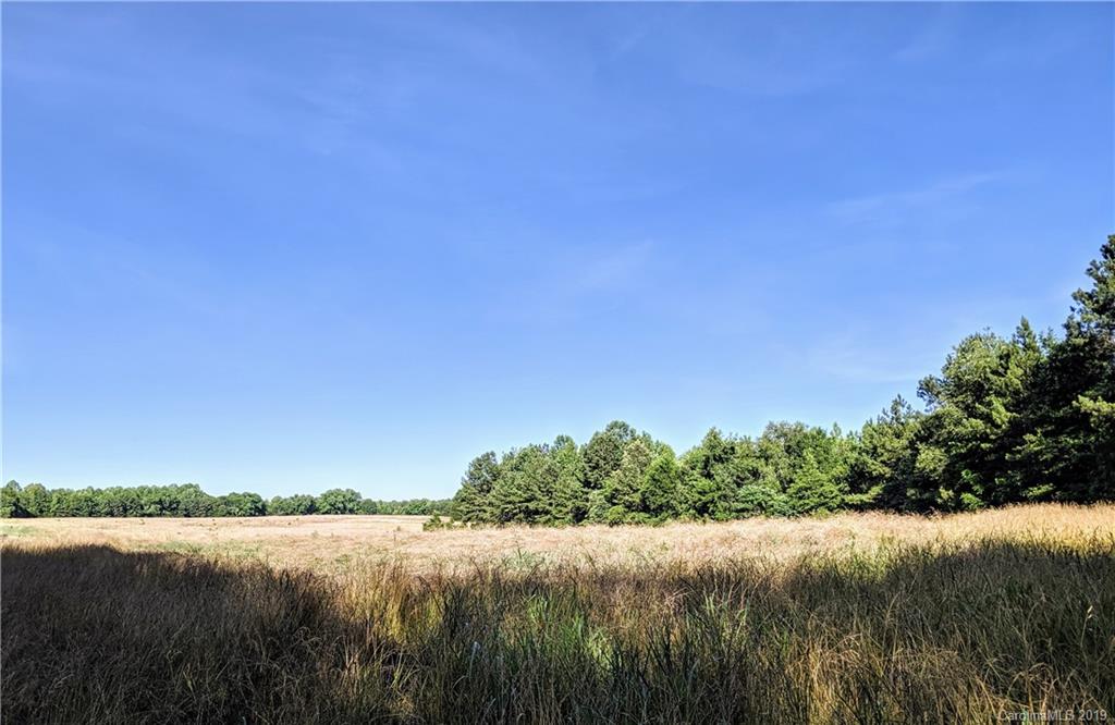 94.6-ac Hickory Grove Road Sharon, SC 29742 - Photo 9 of 12 Gallery Image 9