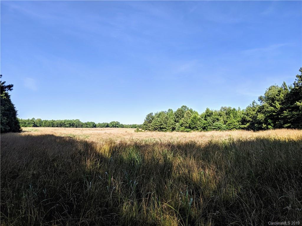 94.6-ac Hickory Grove Road Sharon, SC 29742 - Photo 10 of 12 Gallery Image 10