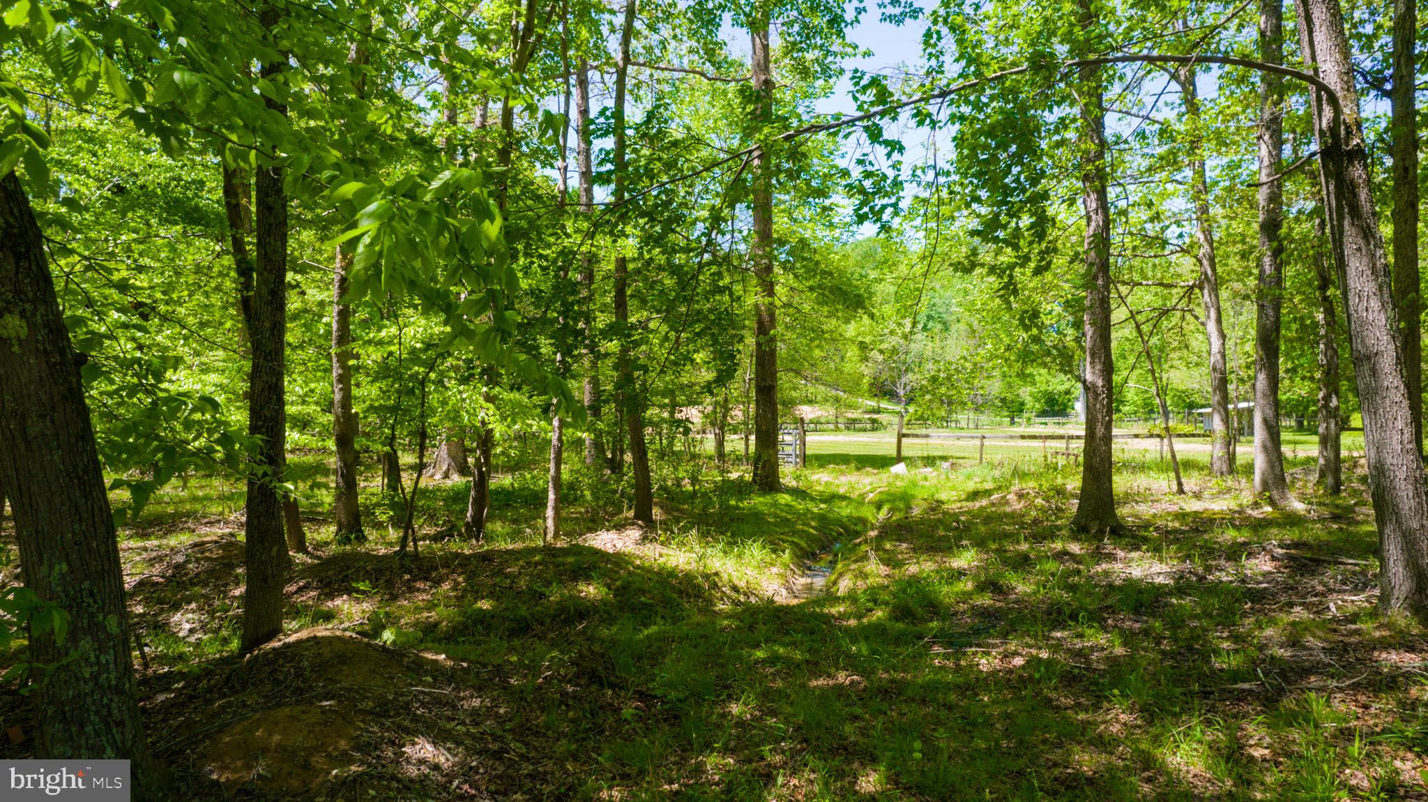 17713 Queen Anne Road Upper Marlboro, MD 20774 - Photo 21 of 35 Yard