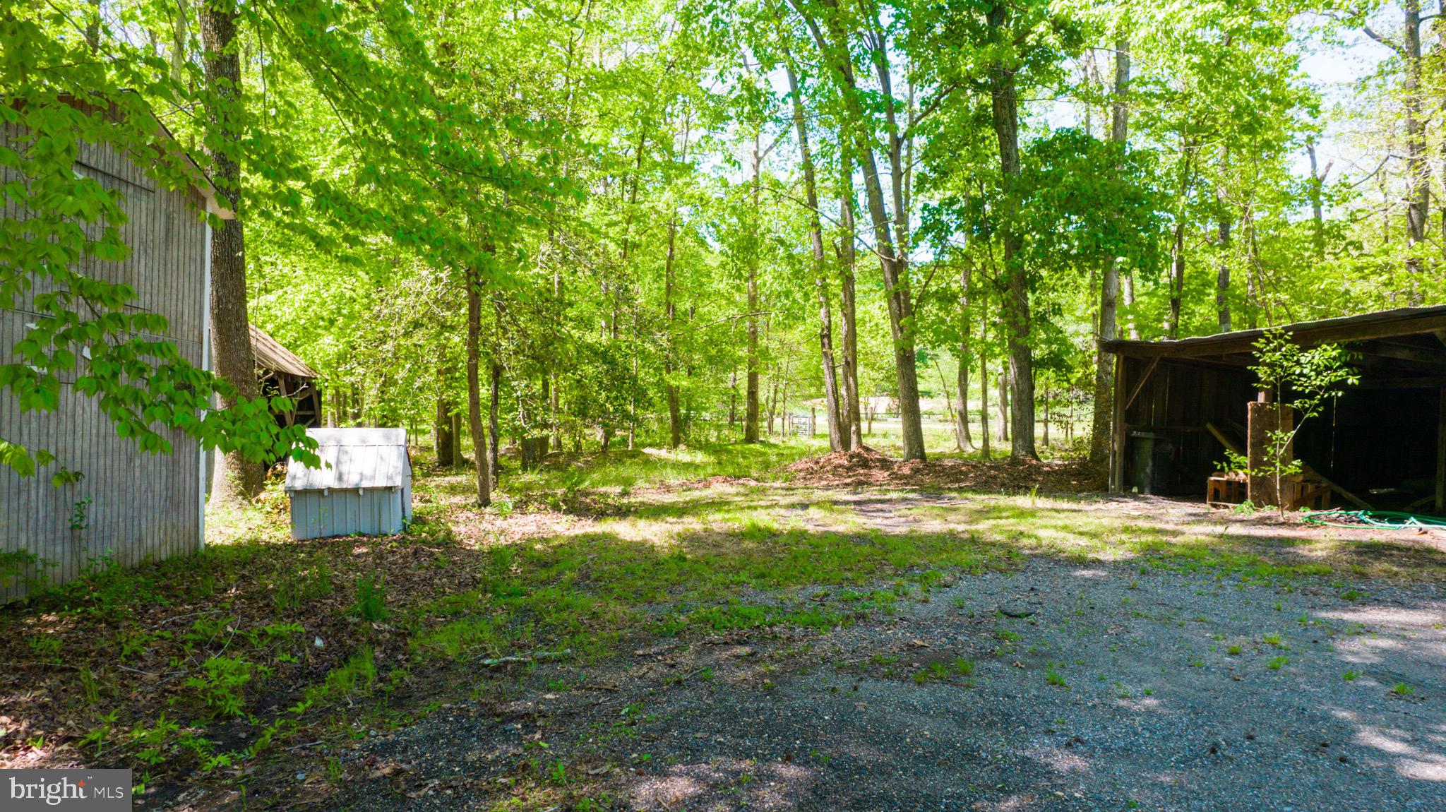 17713 Queen Anne Road Upper Marlboro, MD 20774 - Photo 22 of 35 Yard