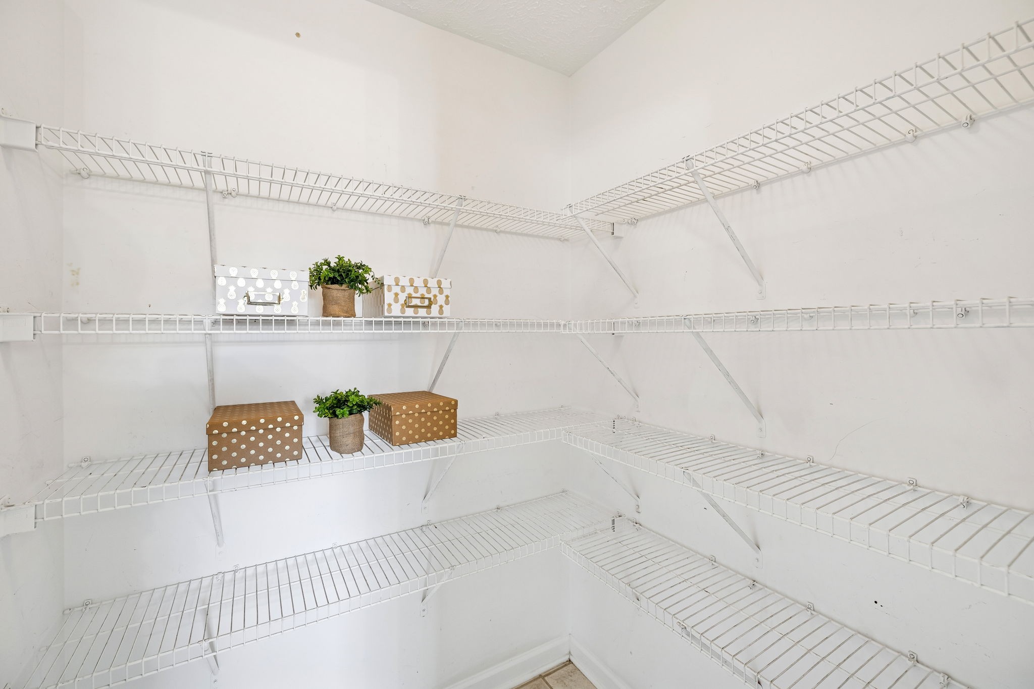 5807 Roxbury Drive Murfreesboro, TN 37128 - Photo 29 of 79