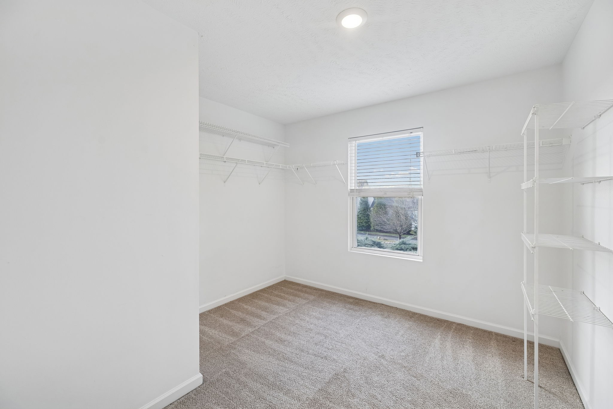 5807 Roxbury Drive Murfreesboro, TN 37128 - Photo 46 of 99