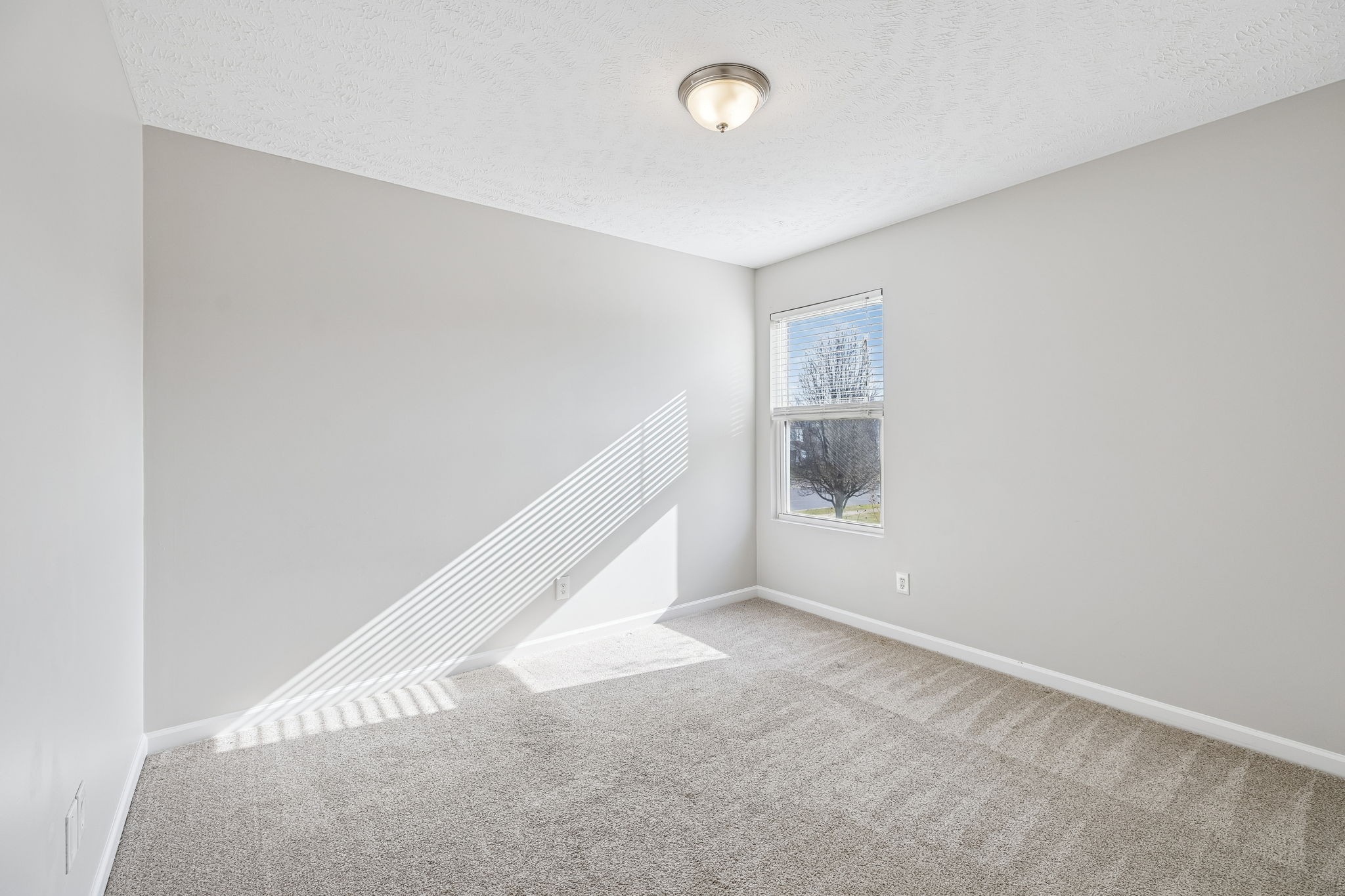 5807 Roxbury Drive Murfreesboro, TN 37128 - Photo 48 of 99 a view of an empty room with a window