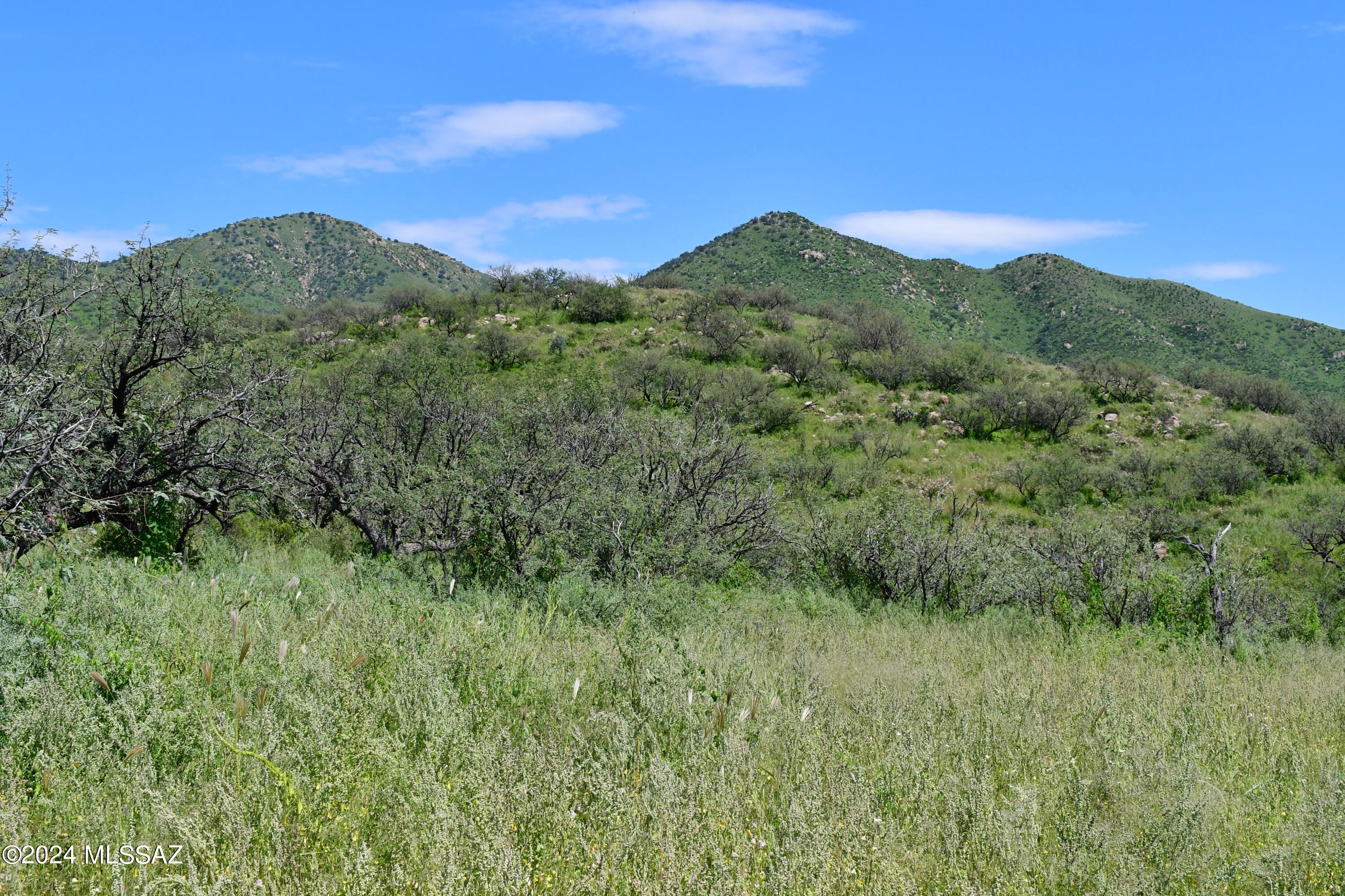 Tbd Tbd Mesquite Trail, Unit 132 Rio Rico, AZ 85648 - Photo 10 of 23