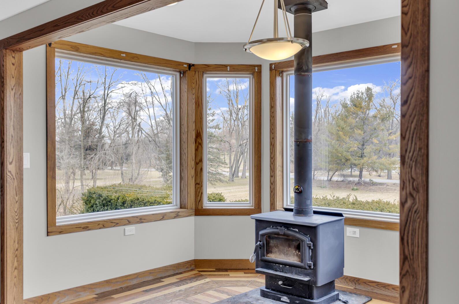 7805 Jefferson Road Brooklyn, MI 49230 - Photo 19 of 65 Woodburner