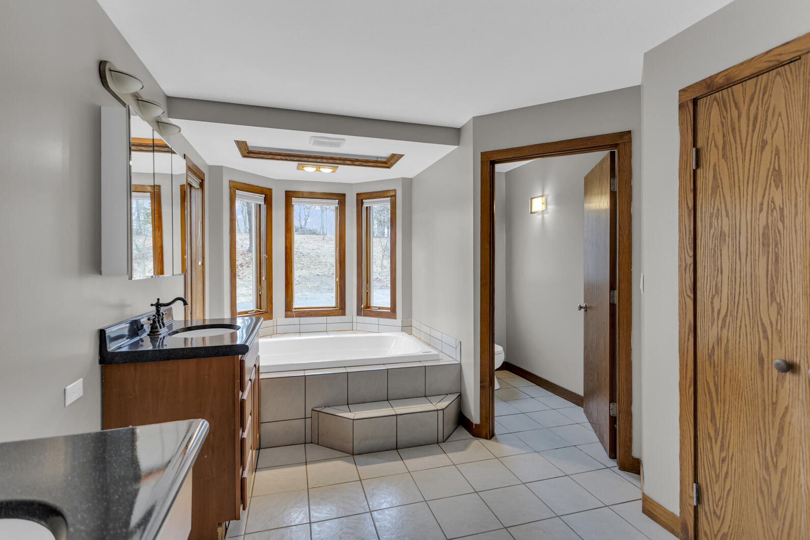7805 Jefferson Road Brooklyn, MI 49230 - Photo 24 of 65 Primary Bath