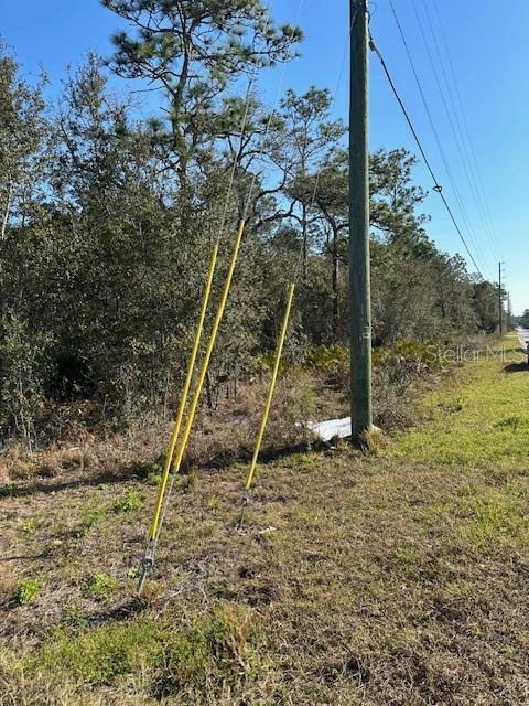 7179 West Merrivale Lane Homosassa, FL 34446 - Photo 3 of 8 a view of a backyard