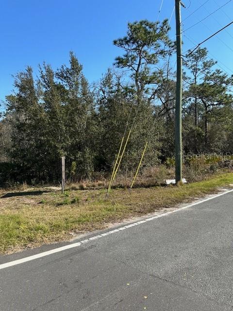7179 West Merrivale Lane Homosassa, FL 34446 - Photo 8 of 8 a view of a backyard