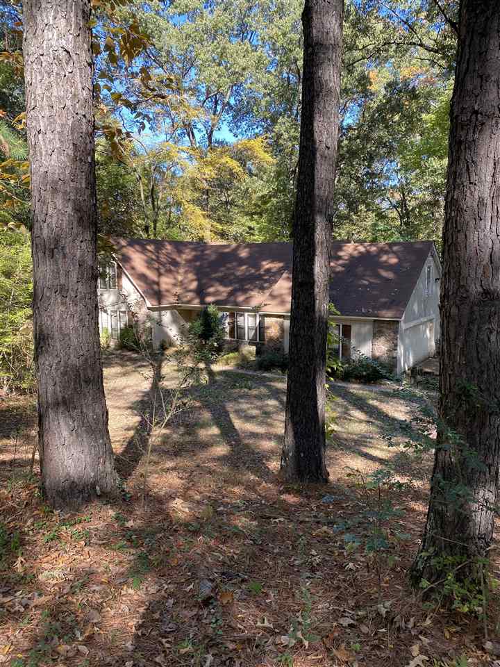a view of a tree in the middle of a yard