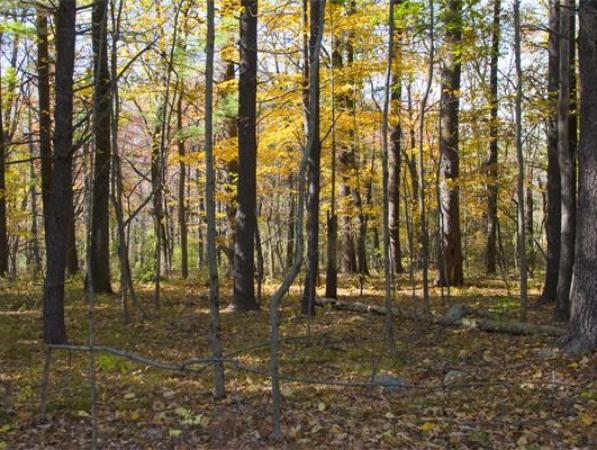 35 Bypass Road Concord, MA 01742 - Photo 1 of 1 Gallery Image 1
