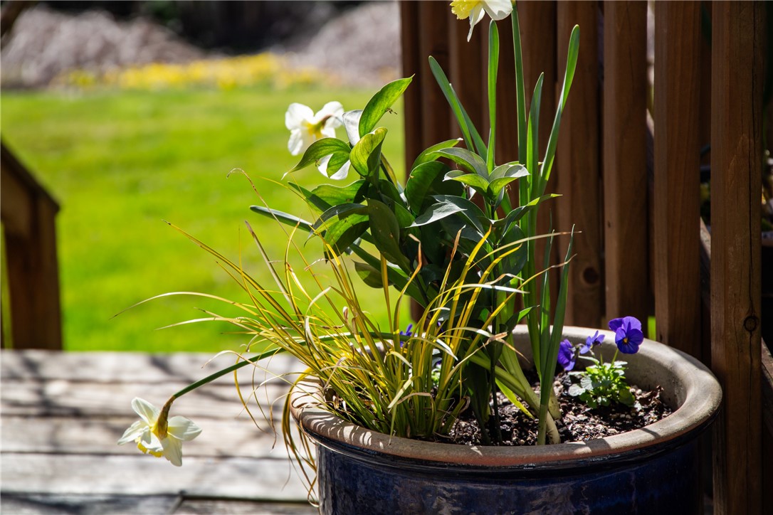 201 Paradise Avenue Middletown, RI 02842 - Photo 46 of 48