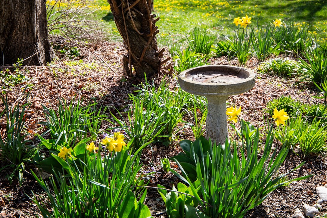 201 Paradise Avenue Middletown, RI 02842 - Photo 48 of 48