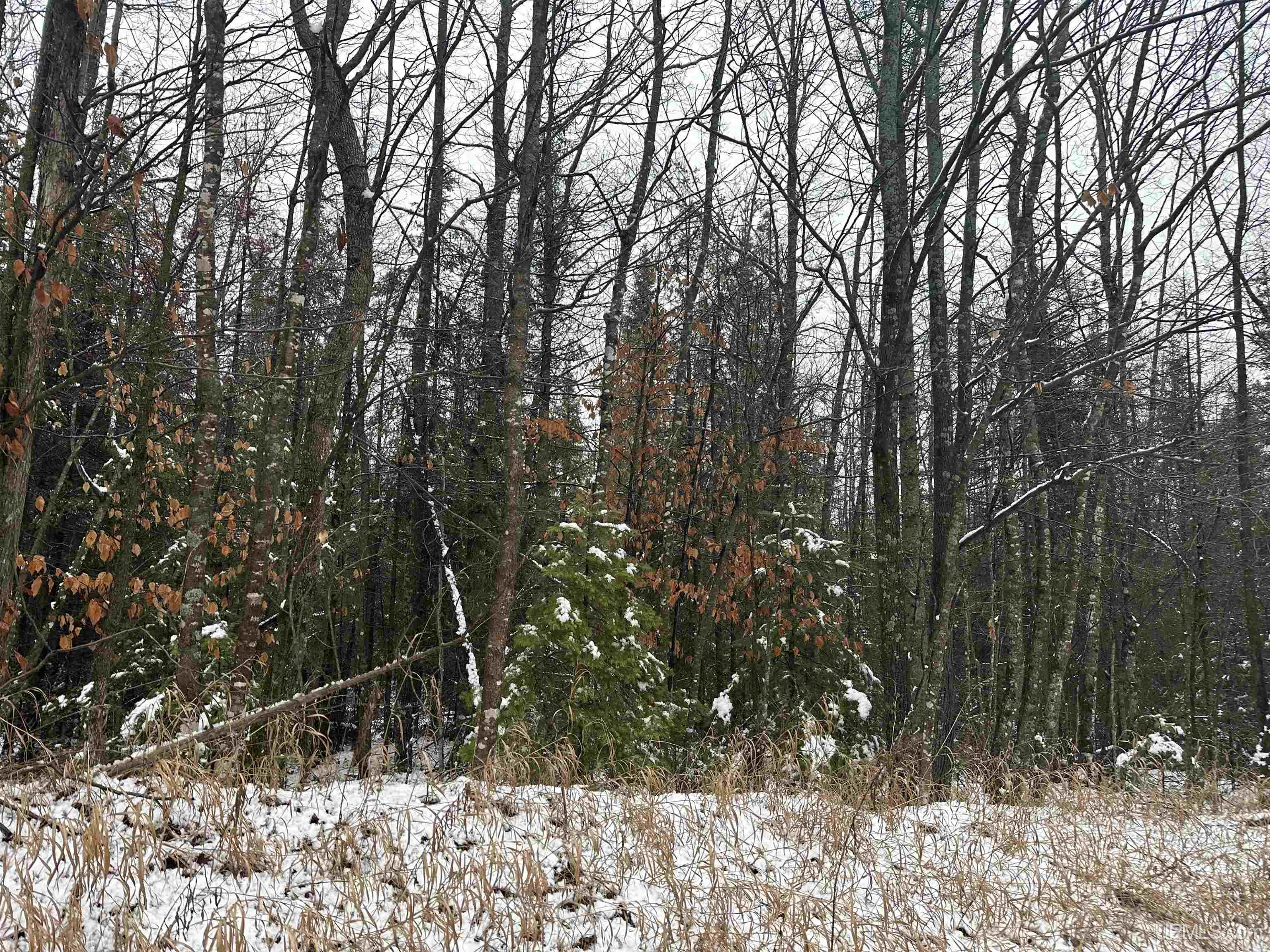 8.5-a Tbd Kell Road Wilson, MI 49896 - Photo 5 of 9 Gallery Image 5