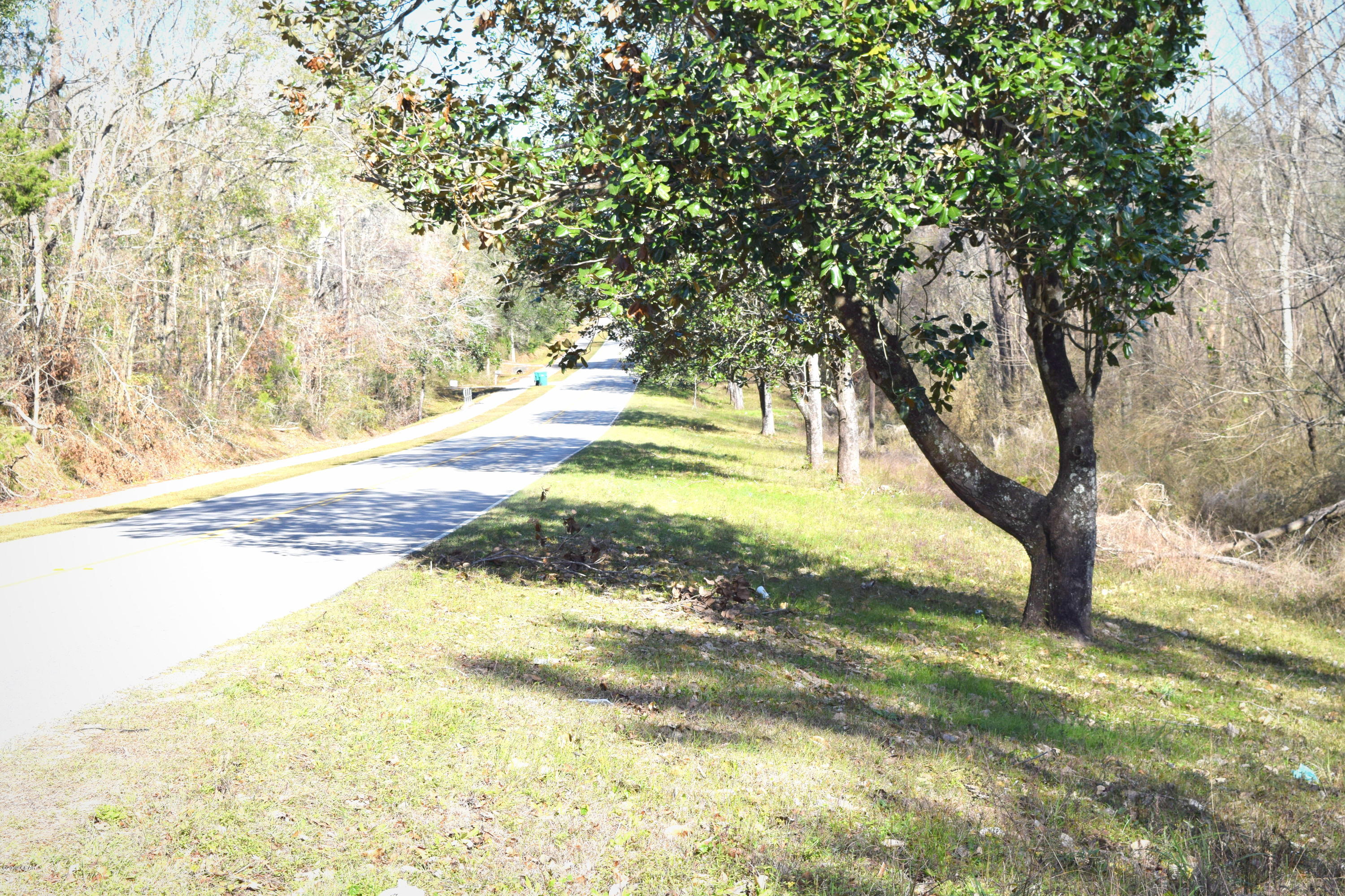 Xxx Falling Waters Road Chipley, FL 32428 - Photo 2 of 4