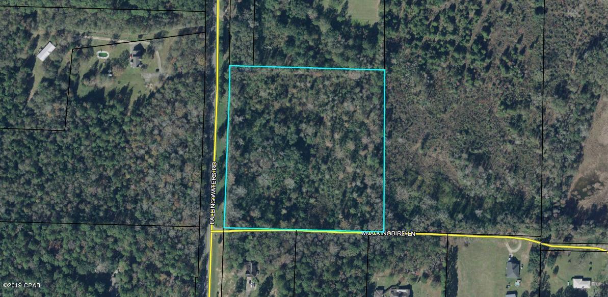 Xxx Falling Waters Road Chipley, FL 32428 - Photo 3 of 4