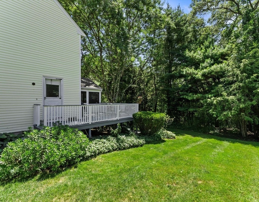 9 Pleasantview Terrace Framingham, MA 01701 - Photo 30 of 35 a view of backyard with potted plants and a large tree