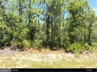 $39,900 | 6927 Greenfield Road, Blackshear, GA 31516