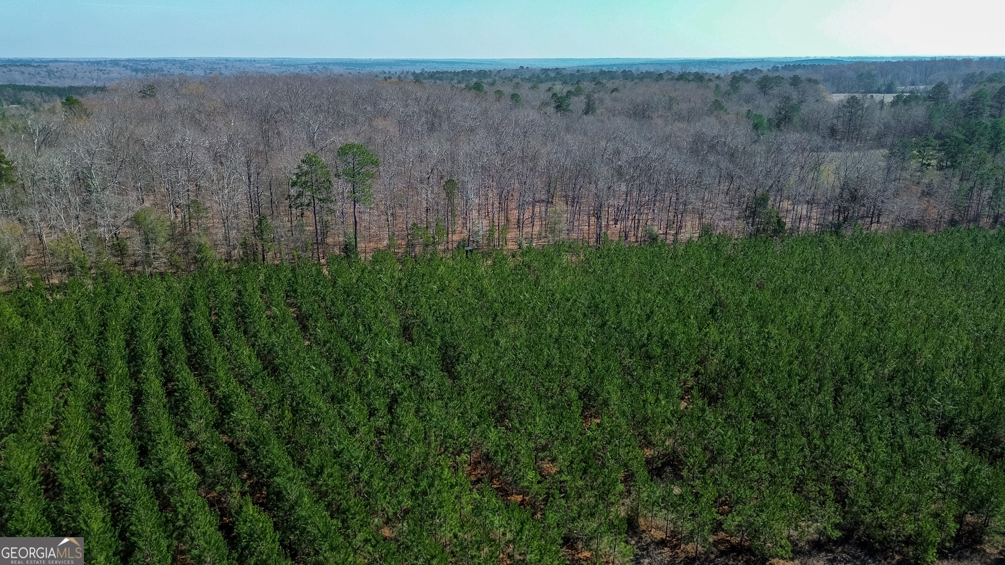 0 Dozier Road Ellaville, GA 31806 - Photo 11 of 15