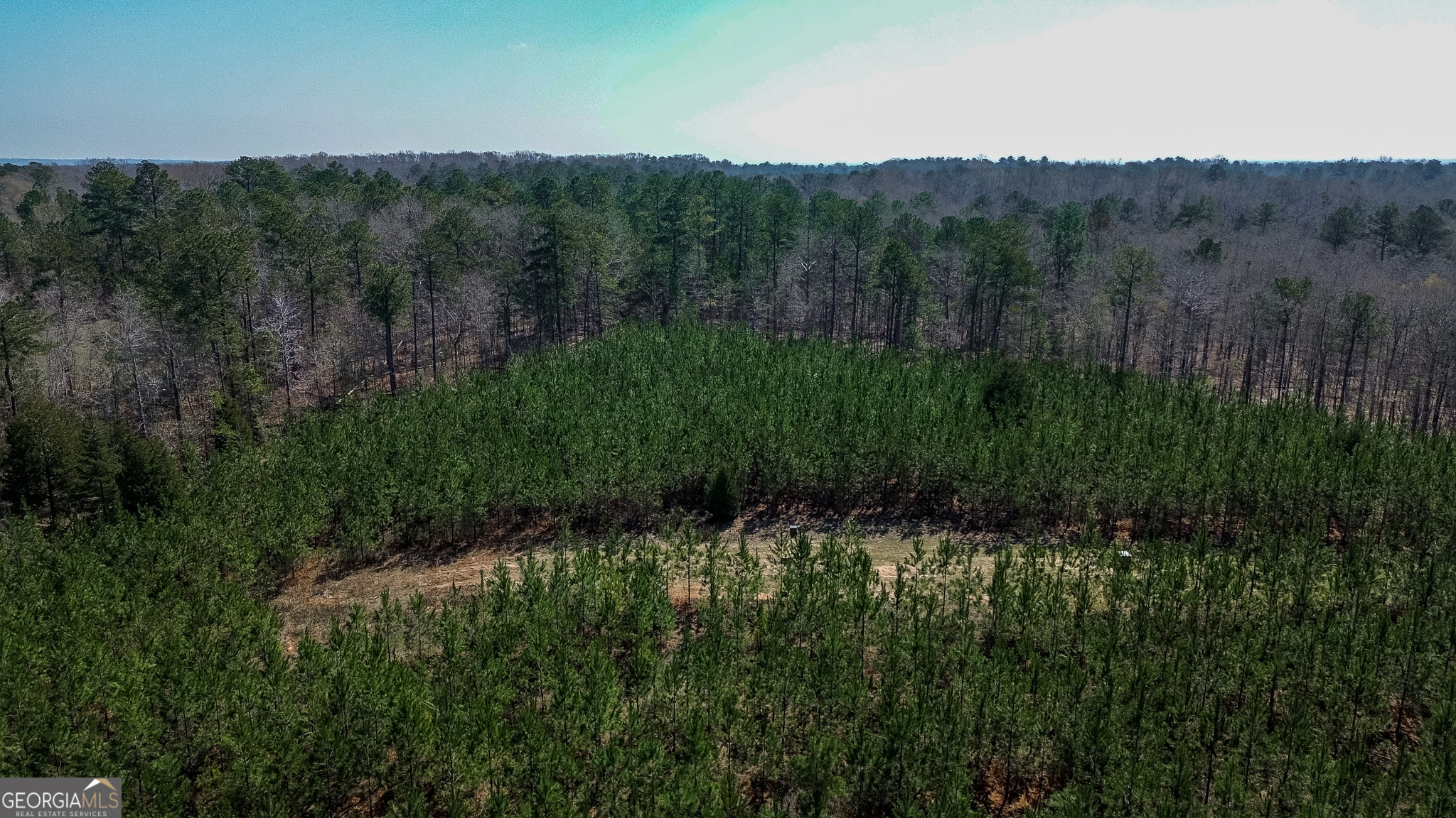 0 Dozier Road Ellaville, GA 31806 - Photo 13 of 15