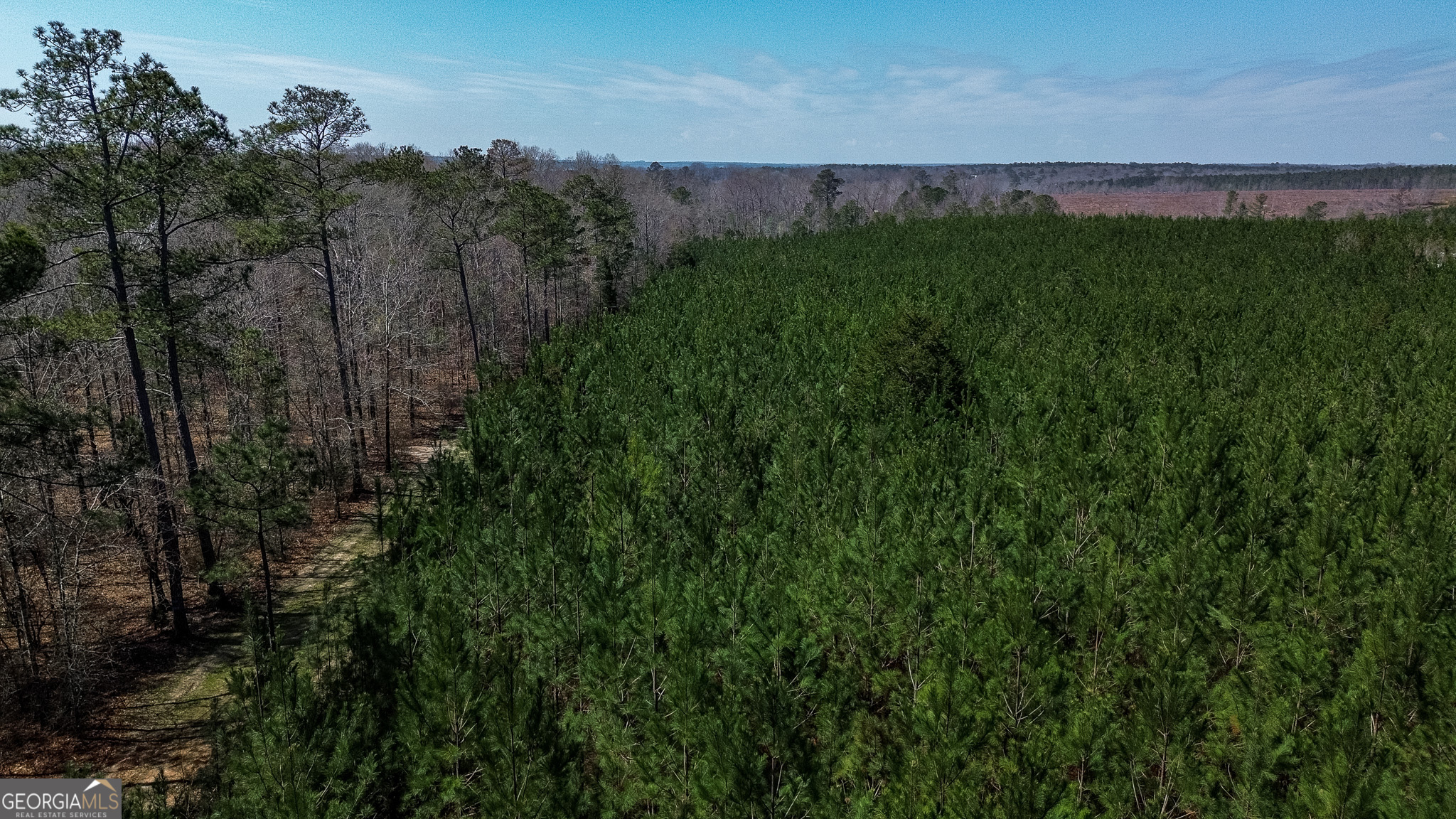 0 Dozier Road Ellaville, GA 31806 - Photo 3 of 15