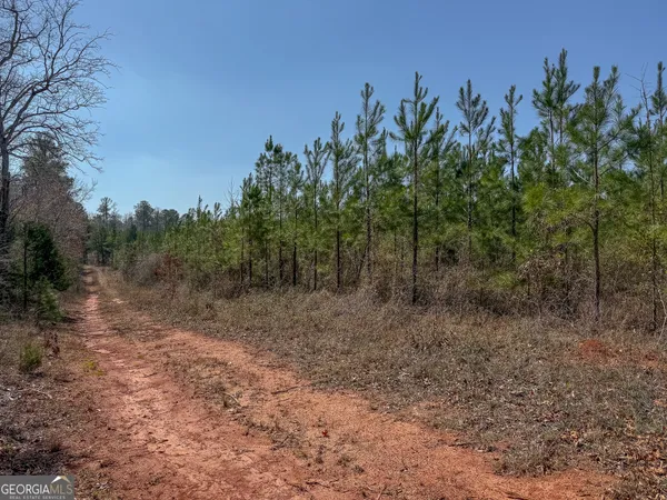 a view of a yard with trees in front of it