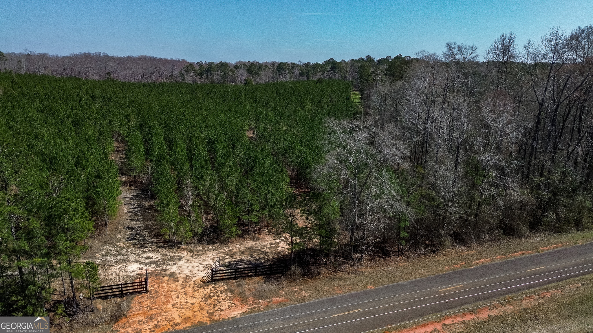 0 Dozier Road Ellaville, GA 31806 - Photo 7 of 15