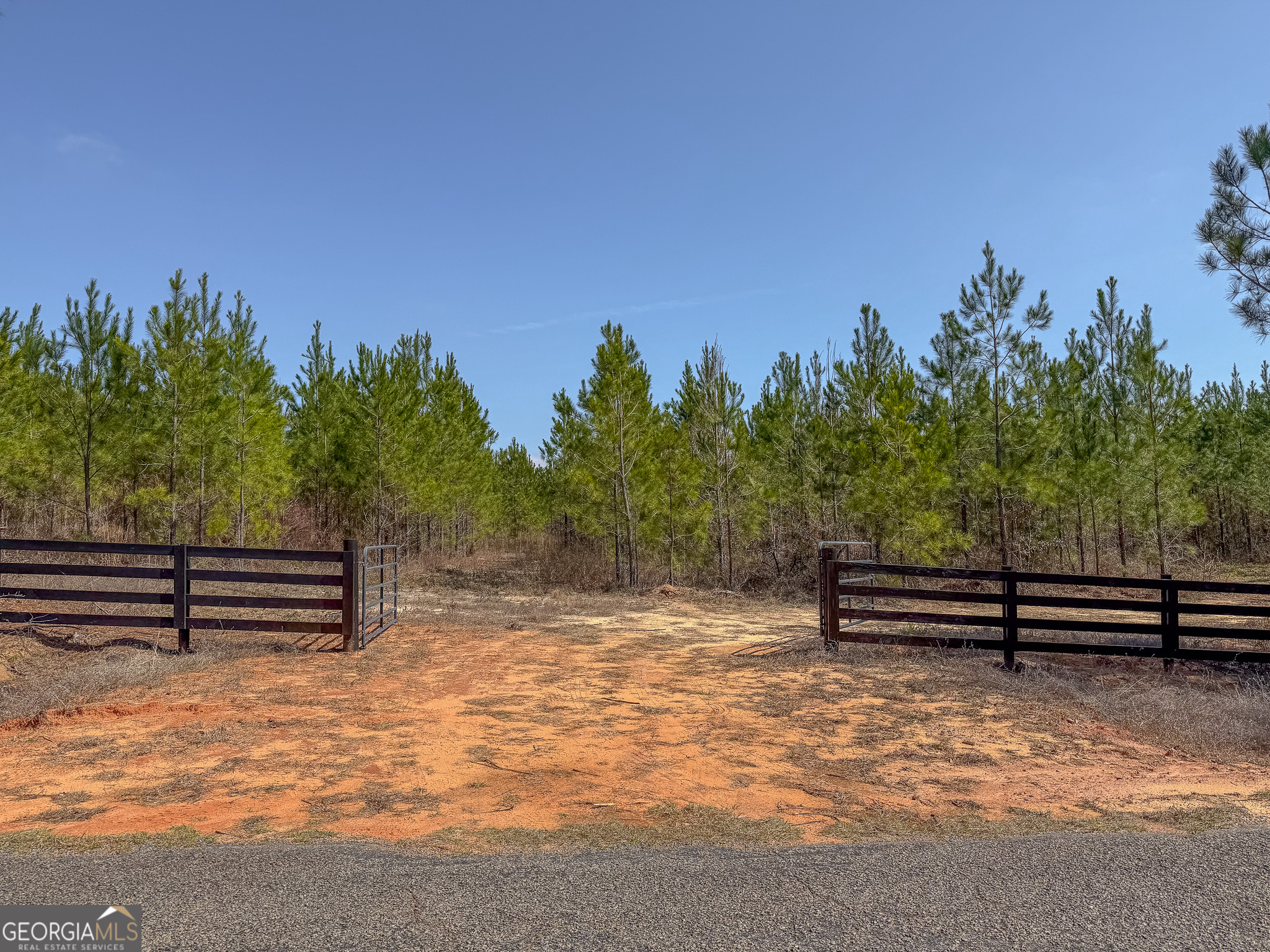 0 Dozier Road Ellaville, GA 31806 - Photo 8 of 15