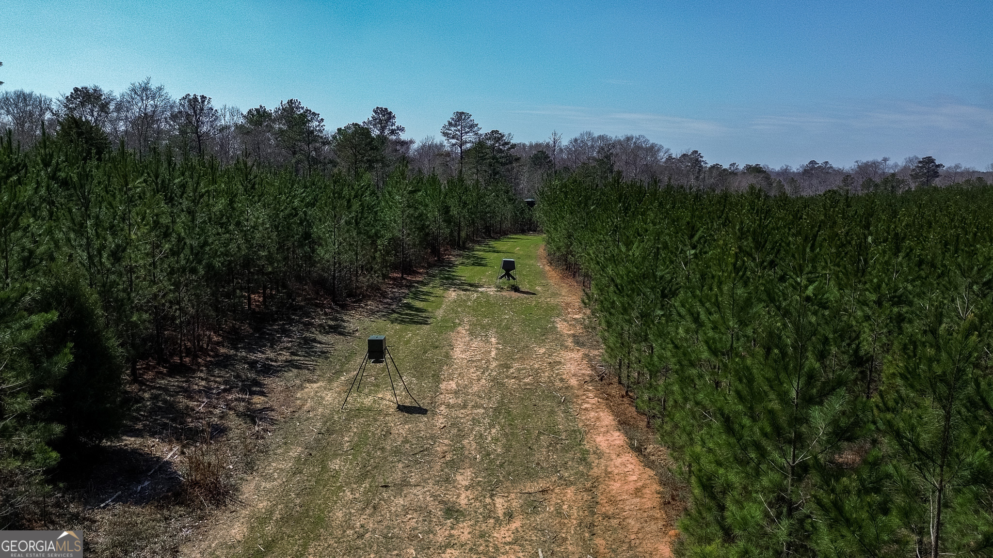 0 Dozier Road Ellaville, GA 31806 - Photo 10 of 15