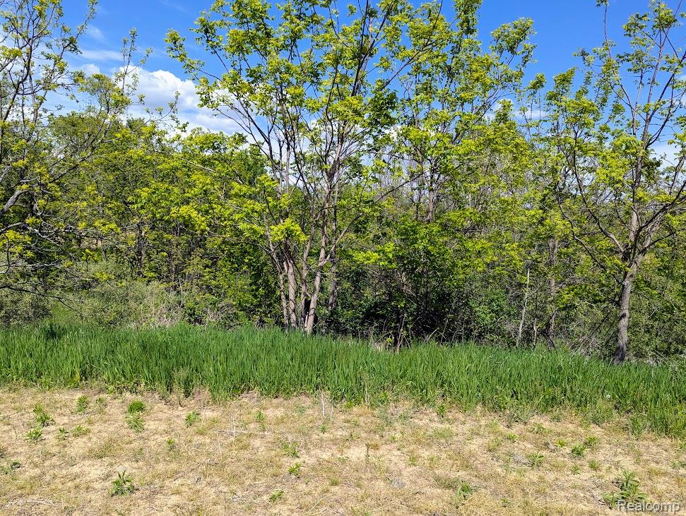 Parcel D - Hogan Road Linden, MI 48451 - Photo 10 of 19