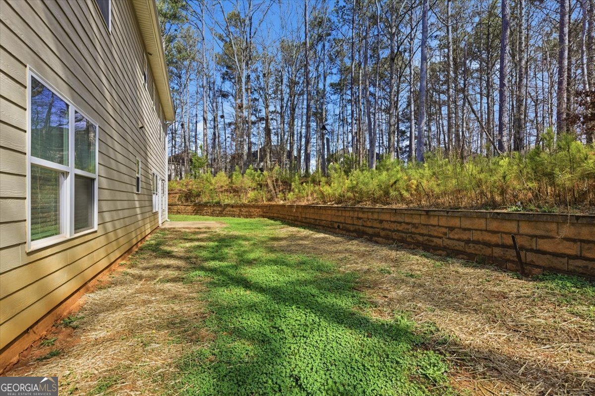 455 Pearson Circle Hampton, GA 30228 - Photo 34 of 35