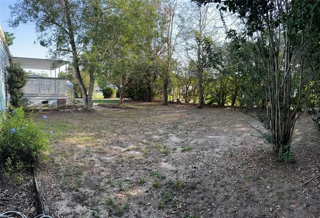 a view of a house with a tree