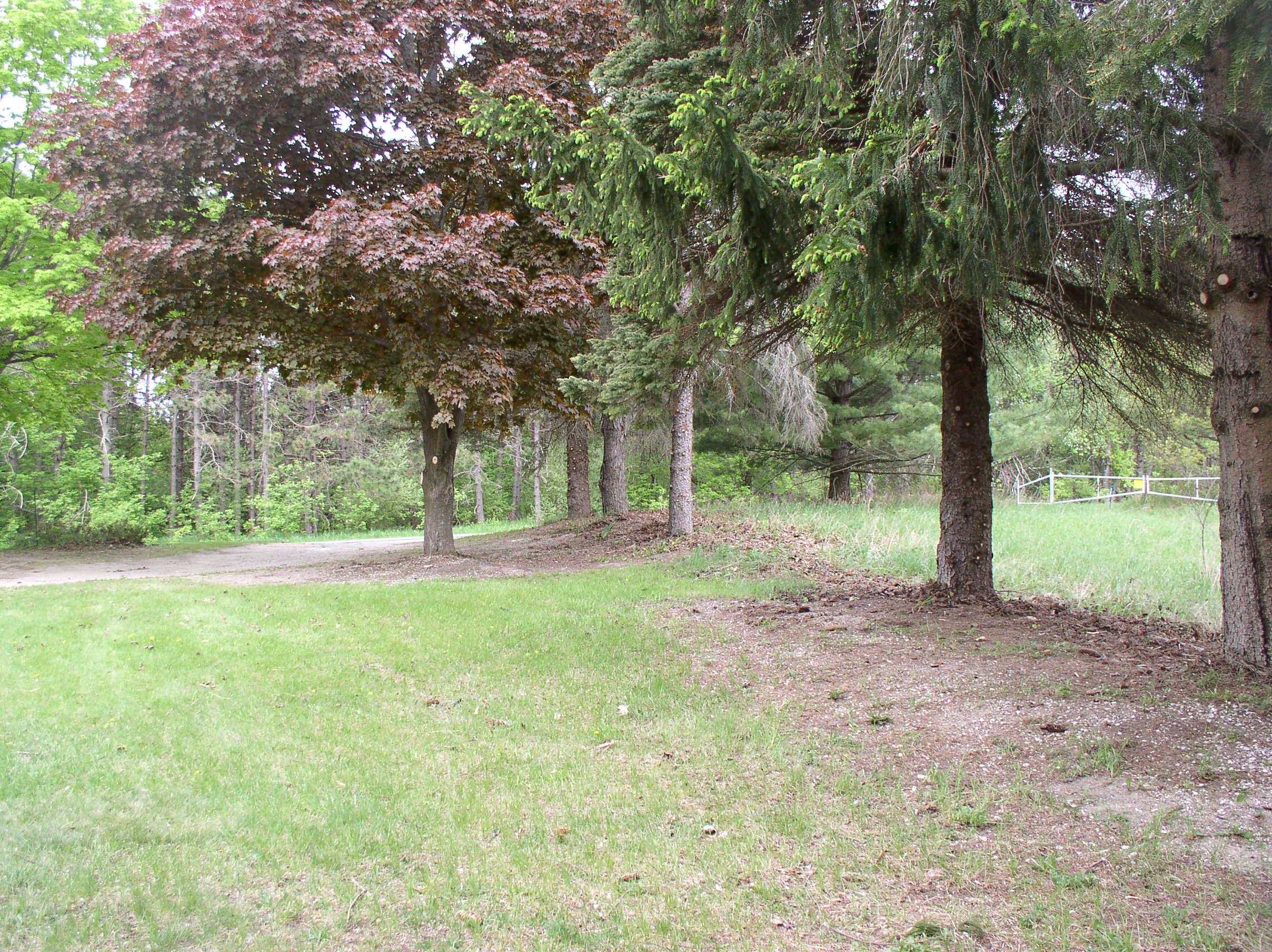 229 Eckhardt Road Bellaire, MI 49615 - Photo 80 of 87 1902963-79.JPG
