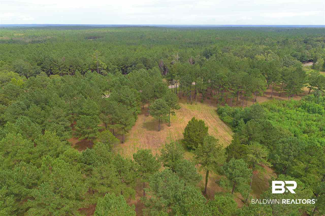 249 Camp Dixon Road Brewton, AL 36426 - Photo 46 of 48