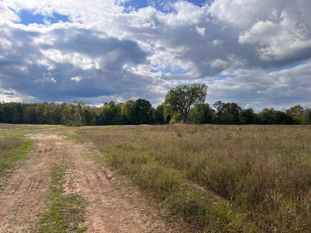 $59,900 | Just Road, Unit 5, Wausaukee, WI 54177