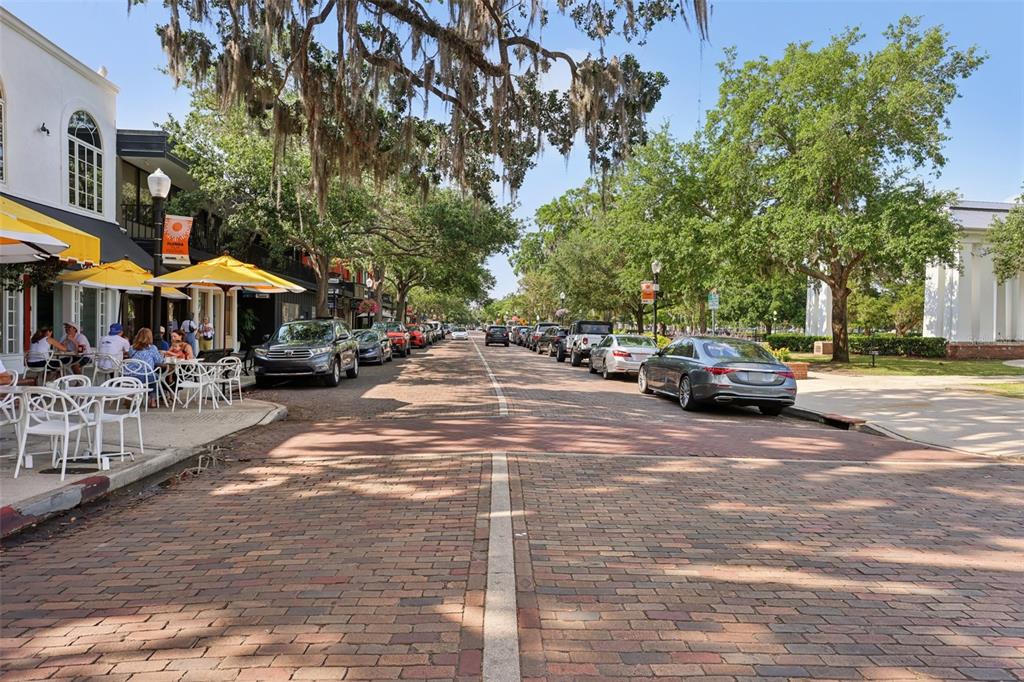 730 West Swoope Avenue Winter Park, FL 32789 - Photo 70 of 72