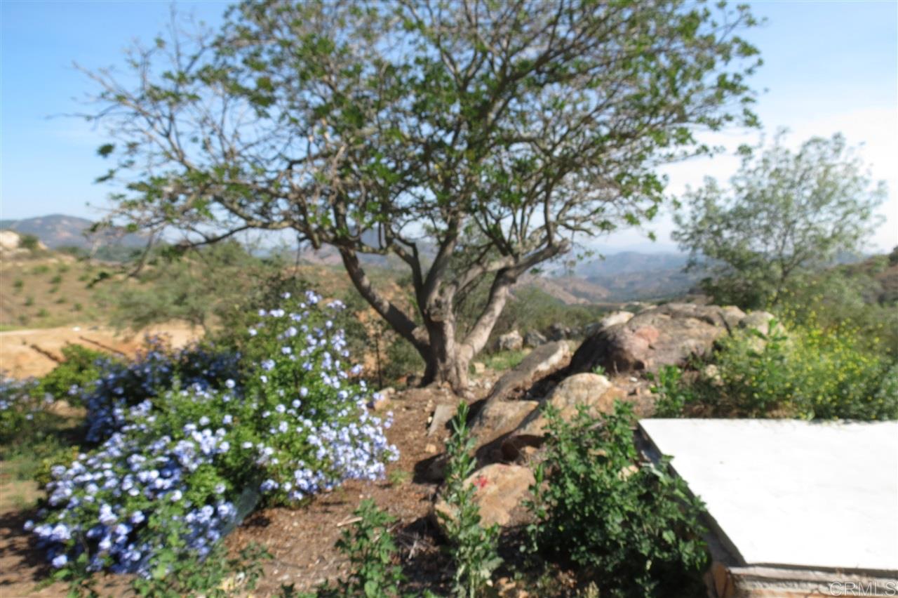 1131 Rainbow Valley Road Fallbrook, CA 92028 - Photo 18 of 25