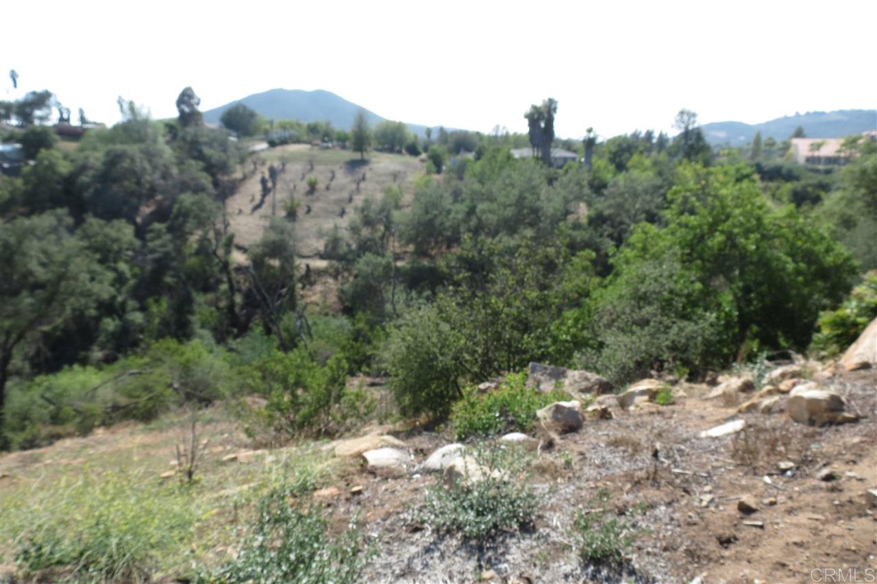 1131 Rainbow Valley Road Fallbrook, CA 92028 - Photo 20 of 25